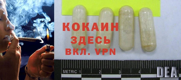 амф Щигры