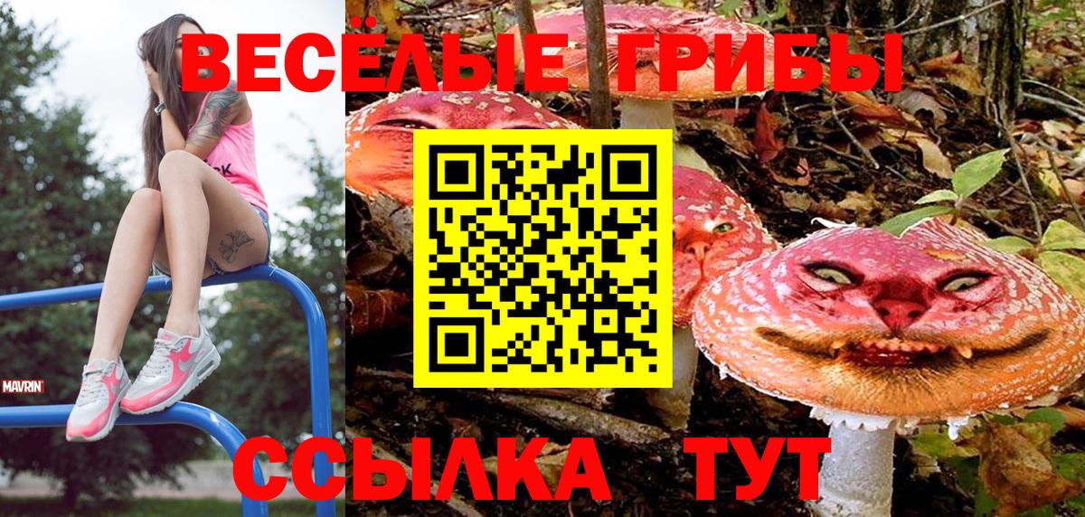 Наро-Фоминск  закладки  Вход с VPN  Псилоцибиновые грибы Psilocybine cubensis  Галлюциногенные грибы GOLDEN TEACHER 