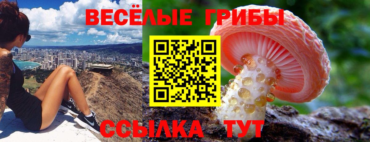 Галлюциногенные грибы ЛСД Наро-Фоминск